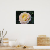 Poster Rose de la paix (Cuisine)