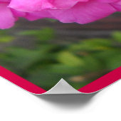 Poster Rose de la Saint-Valentin (Coin)