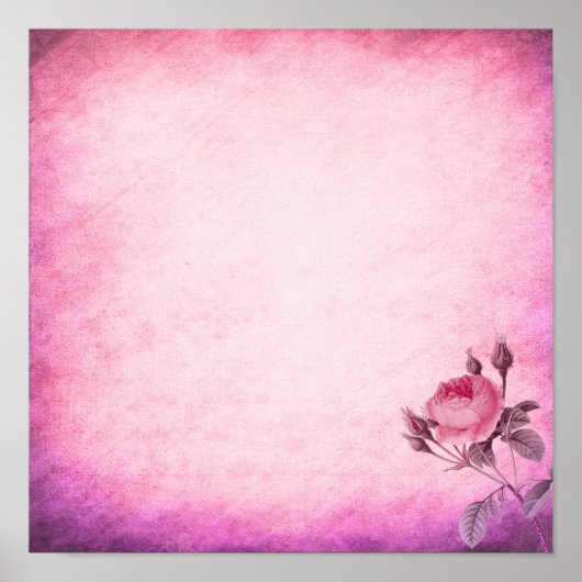 Poster Rose de la Saint Valentin (Devant)