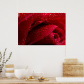 Poster Rose de macro rouge avec gouttelettes d'eau (Cuisine)