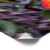 Poster Rose de Mardi Gras avec une touche (Coin)