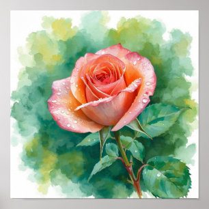 Poster Rose de Pêche Élégante dans la Rosée du Matin : Un