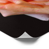 Poster Rose De Pêche En Fleur (Coin)