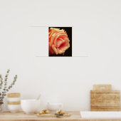 Poster Rose de pêche en fleur (Cuisine)