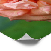 Poster Rose de pêche en mosaïque dans le miroir en fleur (Coin)