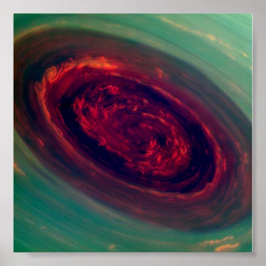 Poster Rose de Saturne (Devant)