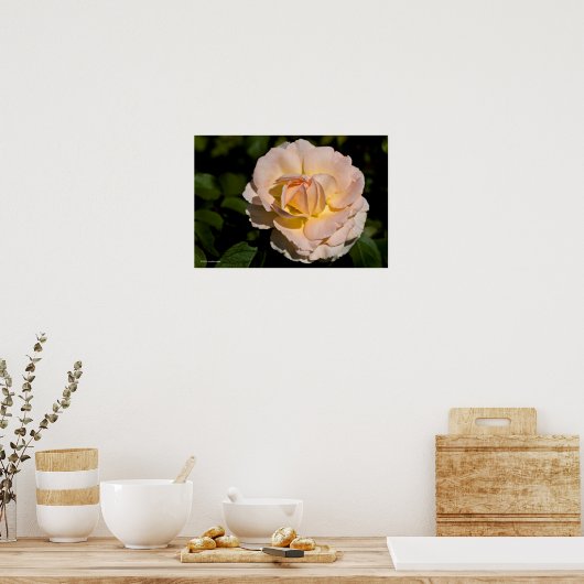 Poster Rose de thé (Cuisine)