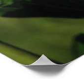 Poster Rose de thé hybride Promise rose 132 (Coin)