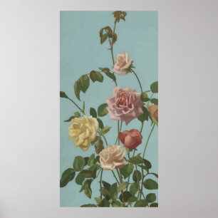 Poster Rose de thé vintage et Roses bleus