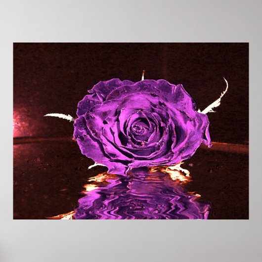 Poster Rose de velours violet (Devant)