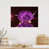 Poster Rose de velours violet (Cuisine)