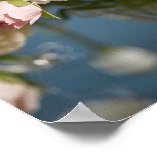 Poster Rose délicate avec perle dans le vase (Coin)