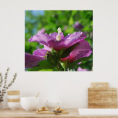 Poster Rose des fleurs de Sharon (Cuisine)