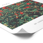 Poster Rose Des Fleurs Rouge Et Vert (Coin)