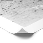 Poster Rose des Prairies Henderson (Coin)