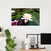 Poster Rose d'étang blanc (Bureau à domicile)
