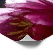 Poster Rose d'étang blanc (Coin)