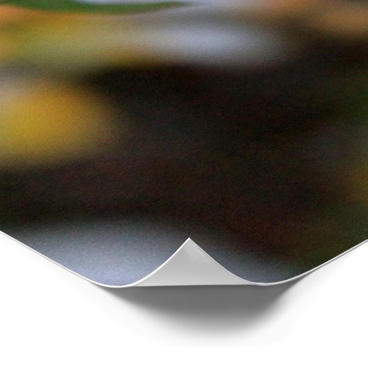 Poster Rose d'hiver (Coin)