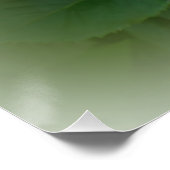 Poster Rose d'or (Coin)