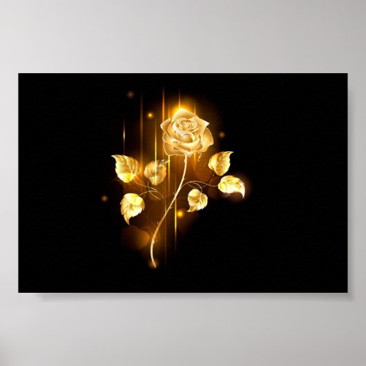 Poster Rose d'or ( rose d'or ) (Devant)