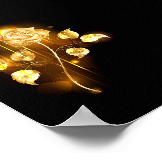 Poster Rose d'or ( rose d'or ) (Coin)