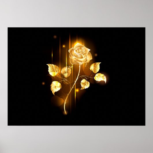Poster Rose d'or ( rose d'or ) (Devant)