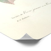 Poster Rose du Bengale (Coin)