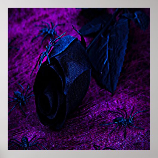 Poster Rose éffrayant en matière noire, araignées noires (Devant)