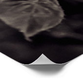Poster Rose en noir et blanc (Coin)