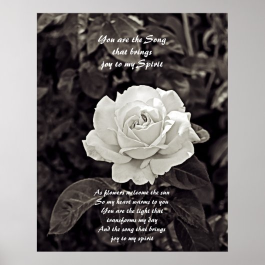 Poster Rose en noir et blanc (Devant)