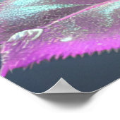 Poster Rose en verre translucide - rose (Coin)