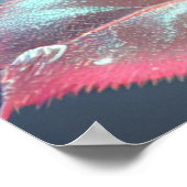 Poster Rose en verre translucide - Rose Dusty (Coin)