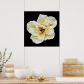 Poster Rose et abeille (Cuisine)