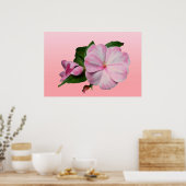 Poster rose et blanc de New Guinea Impatiens (Cuisine)
