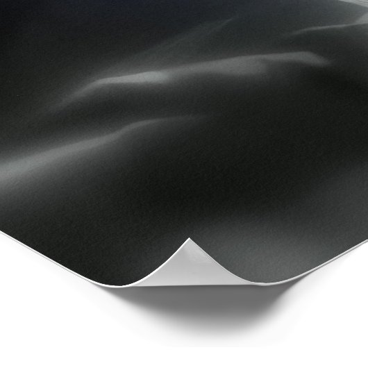 Poster rose et fleur sauvage (Coin)