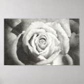 Poster Rose étouffé (Devant)