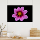 Poster rose Floral (Cuisine)