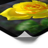 Poster Rose Florale Jaune (Coin)