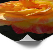 Poster Rose florale rose et jaune (Coin)