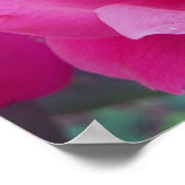 Poster Rose foncée photo (Coin)