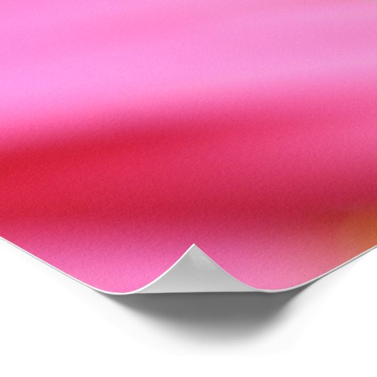 Poster rose Gerbera Daisy (Coin)