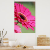 Poster rose Gerbera Daisy (Cuisine)