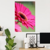 Poster rose Gerbera Daisy (Bureau à domicile)