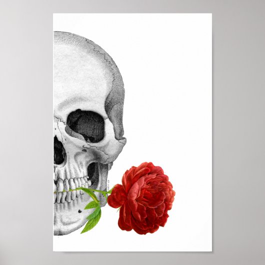 Poster Rose gothique demi-crâne Horreur Imaginaire Squel (Devant)