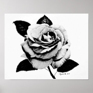 Poster rose gravé 11x14