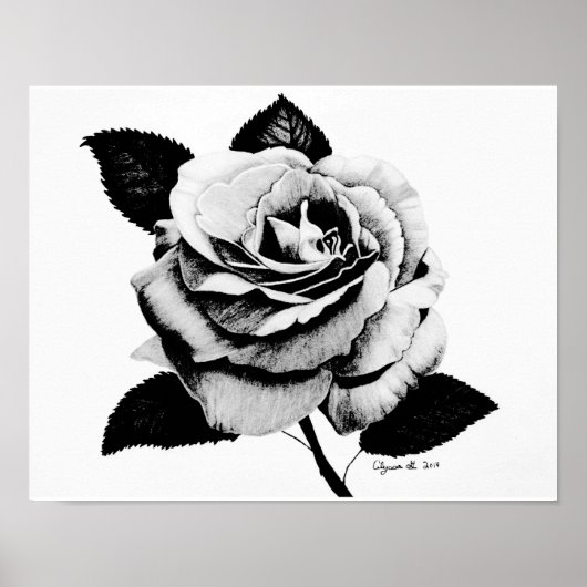 Poster rose gravé 11x14 (Devant)