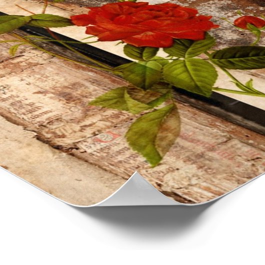 Poster Rose Grunge (Coin)