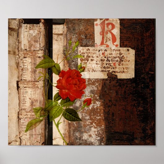 Poster Rose Grunge (Devant)