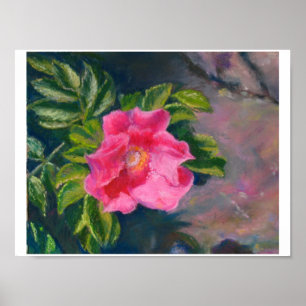 Poster Rose Hansa Shore