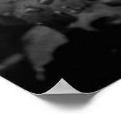 Poster Rose humide (Coin)